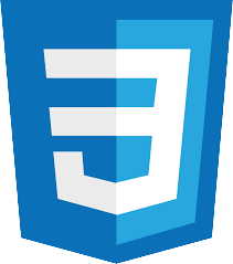 CSS logo